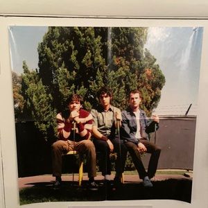 Wallows Vinyl Poster